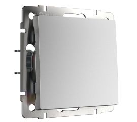 Серебряный матовый