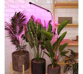 Фитолампы для растений