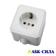 Розетка 1-м с з/к 16А IP44 220В ОУ (керамика) ПЕГАС белая накладная АБК-СИЛА