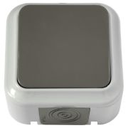 Выключатель нар. 1-кл брызгозащищенный 6А IP54 серый, Пралеска аква