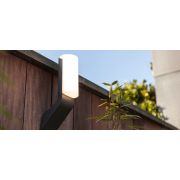 Brisbane led Cветильник светодиодный настенный темно-серый (grey)