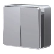 Выключатель двухклавишный Gallant серебряный W5020006