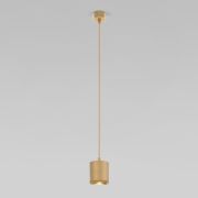 Подвесной светодиодный светильник Elektrostandard Lead 50243 LED золотой a062414
