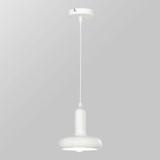 Подвесной светильник Lussole Butte LSP-8915