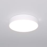 Потолочный светодиодный светильник Eurosvet Entire 90319/1 белый