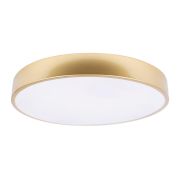 Потолочный светодиодный светильник Loft IT Flims 10228/A