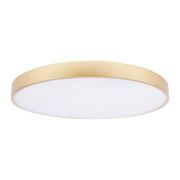 Потолочный светодиодный светильник Loft IT Flims 10228/B