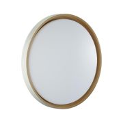 Настенно-потолочный светодиодный светильник Sonex Color Kisil 7645/DL