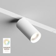 Трековый светильник Denkirs Smart Spot DK8020-WH