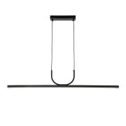 Подвесная светодиодная люстра Favourite Raya 4096-2P