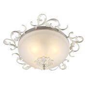 Потолочный светильник Omnilux OML-76417-03