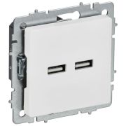 Розетка BRITE РЮ10-1-БрАБ USB A+A 3.1А механизм арктич. бел. IEK BR-U21-D31-K91