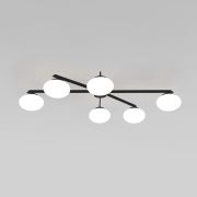 Потолочный светильник 70220/6 черный