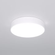 Потолочный светодиодный светильник 90319/1 белый